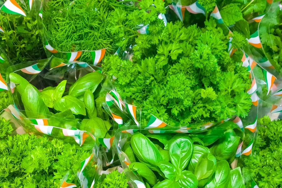 Choosing the Right Green Herb Retailer for Your Needs